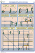 ПС26 Строительные леса (конструкции, монтаж, проверка на безопасность) (ламинированная бумага, a2, 3 листа) - Охрана труда на строительных площадках - Плакаты для строительства - ohrana.inoy.org